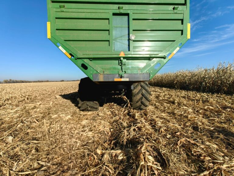 WhatsApp Image 2025-11-06 at 22.34.26 (1)