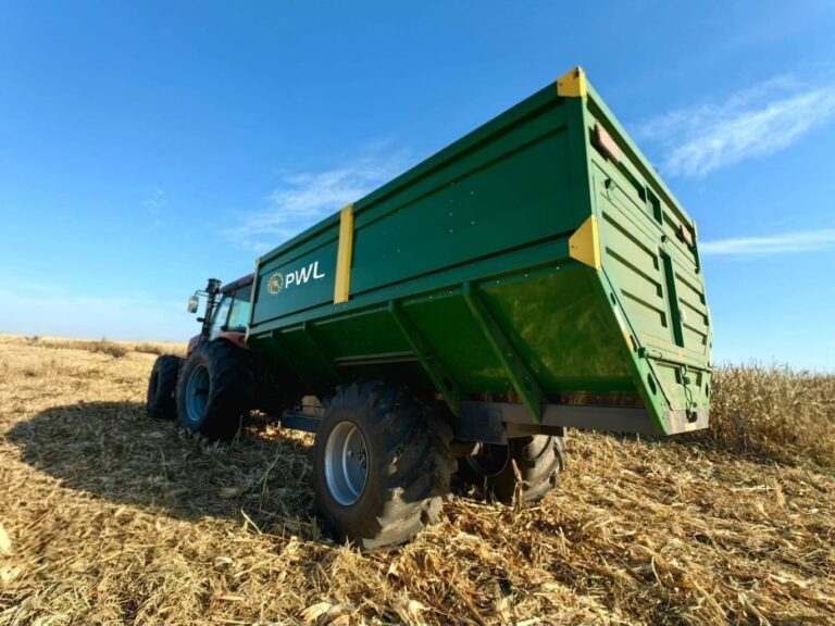 WhatsApp Image 2025-11-06 at 22.34.26 (3)