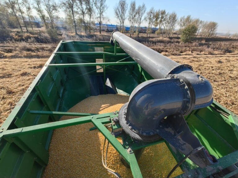 WhatsApp Image 2025-11-06 at 22.34.26 (4)