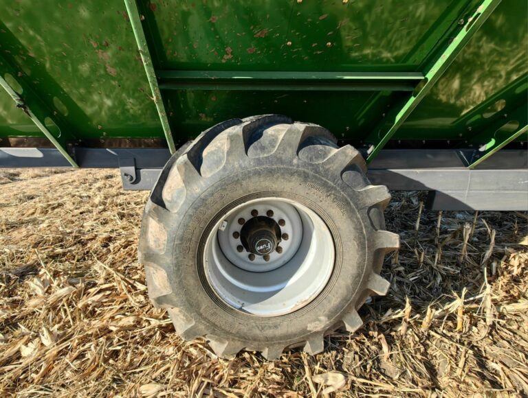 WhatsApp Image 2025-11-06 at 22.34.26