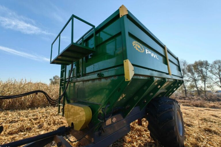 WhatsApp Image 2025-11-06 at 23.12.28